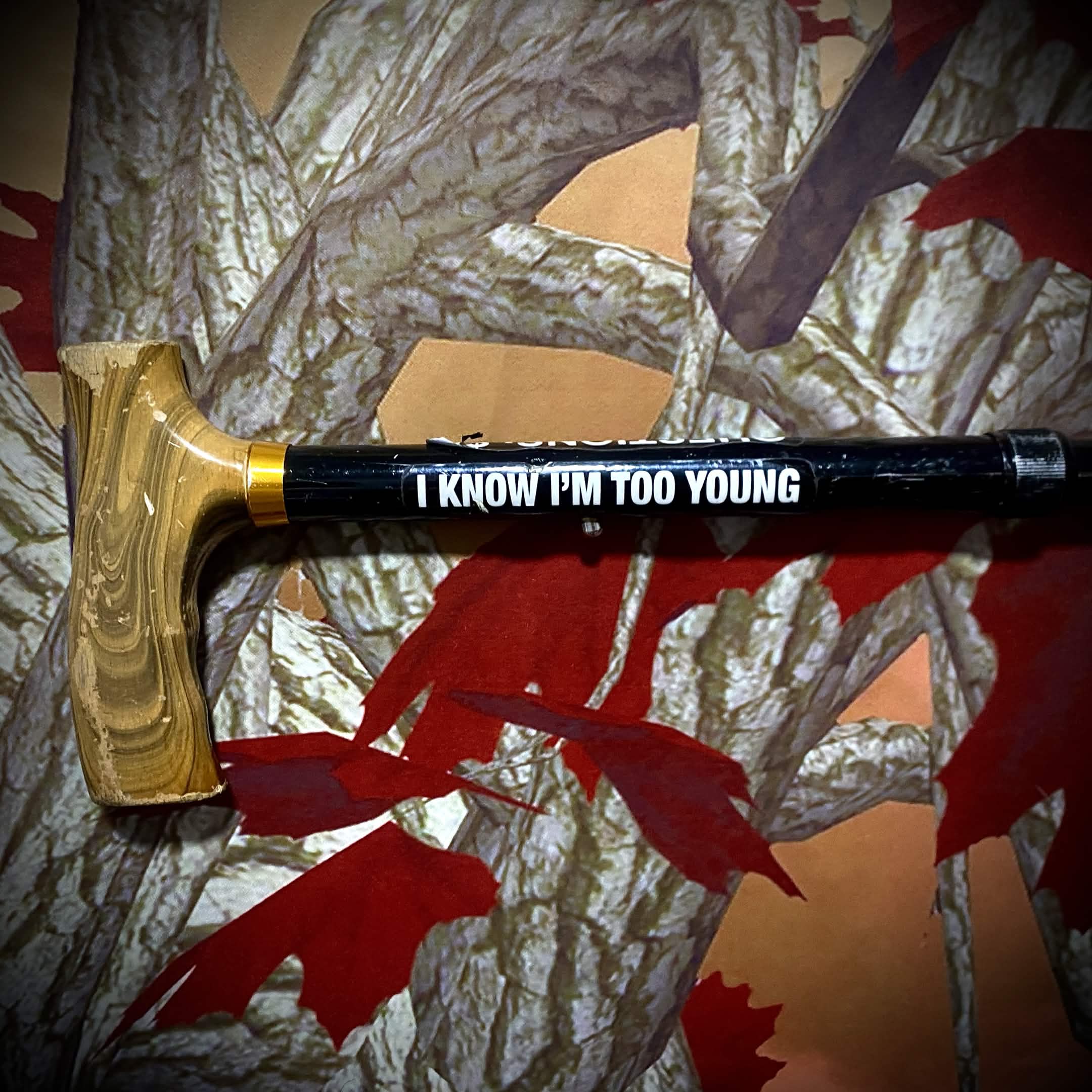 Anonsee's collapsible cane in front of an autumn tree curtain. It is beat up and has a sticker that reads "I Know I'm Too Young"